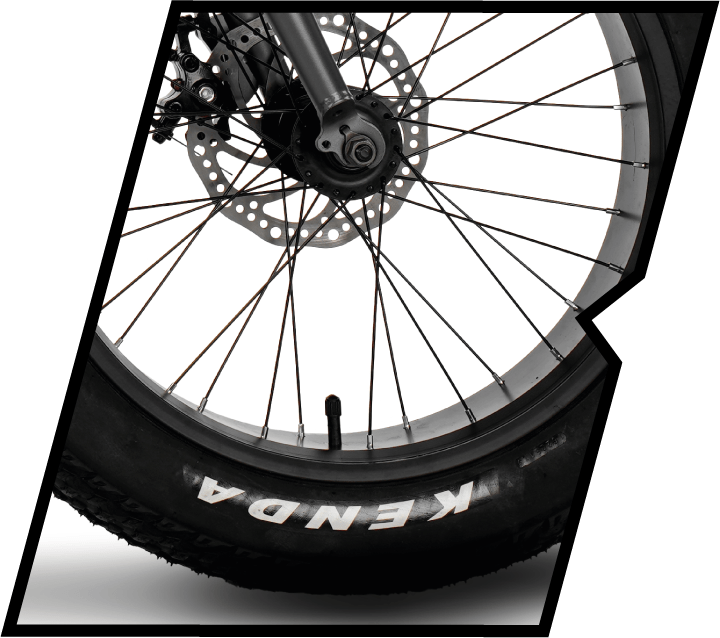 Bicicleta Elétrica Two Dogs Bigfoot T1 750w 48v Aro 20 c/ Alarme e 2 Lugares 6 Pneu BigFoot