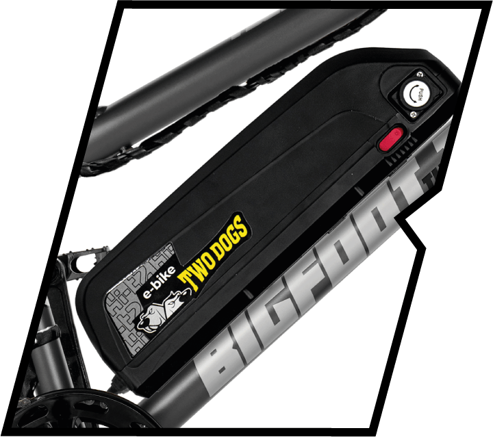 Bicicleta Elétrica Two Dogs Bigfoot T1 750w 48v Aro 20 c/ Alarme e 2 Lugares 7 autonomia