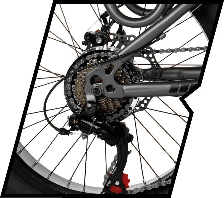 Bicicleta Elétrica Two Dogs Bigfoot T1 750w 48v Aro 20 c/ Alarme e 2 Lugares 8 motor 750w 1 1